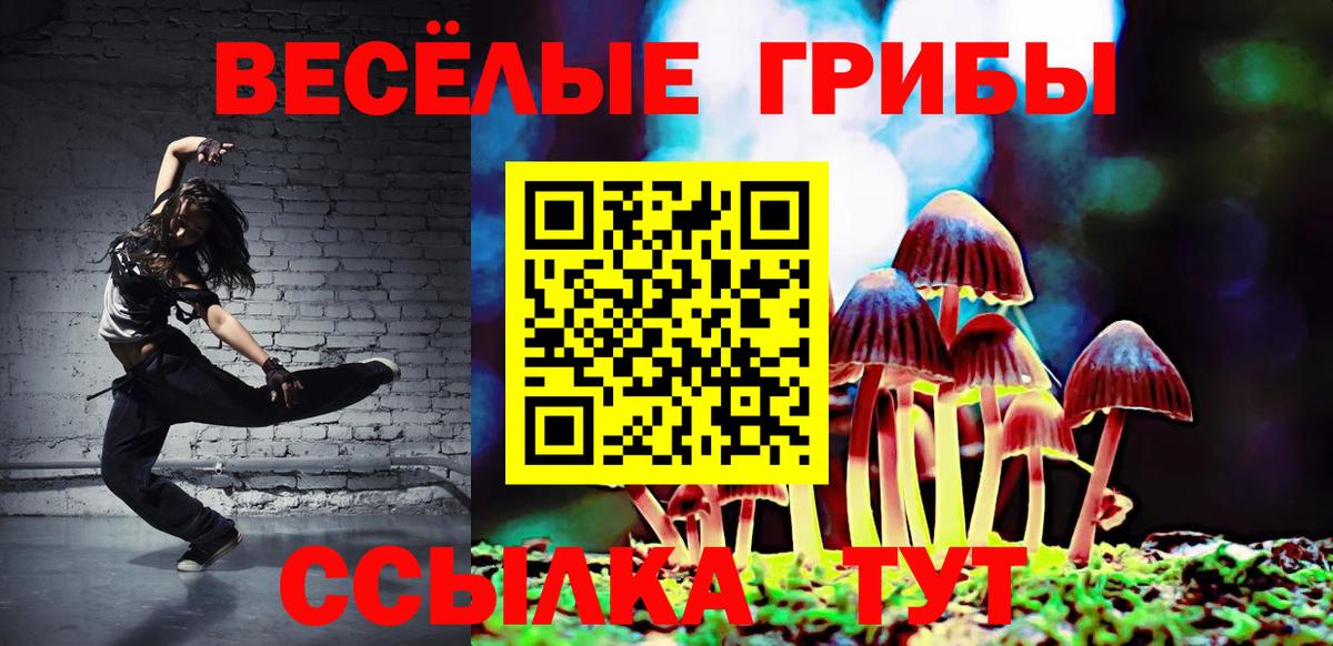 Сердобск  Псилоцибиновые грибы Magic Shrooms  Вход с VPN 